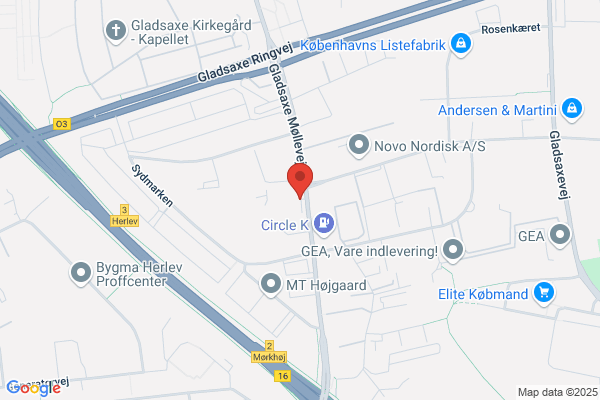 Arne's Auto Service