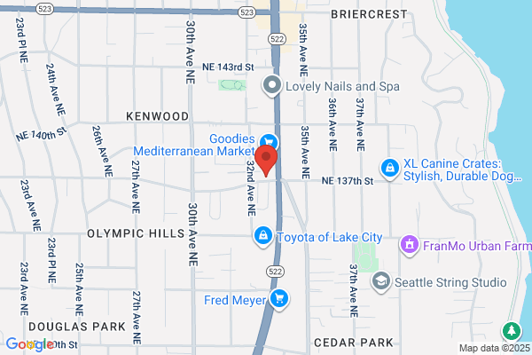 Elmer's Auto Body & Painting