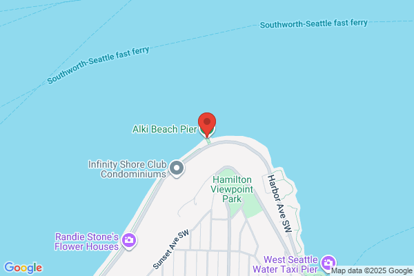Alki Beach Boats