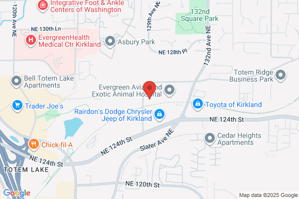 Emerald City Chimney Inc