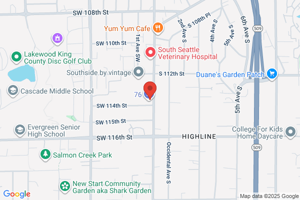 Oasis Station Inc