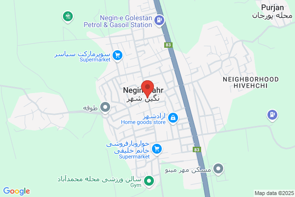 Negin N. Nekahi, M.D.