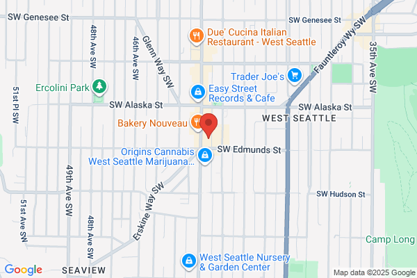 Alki Cleaners