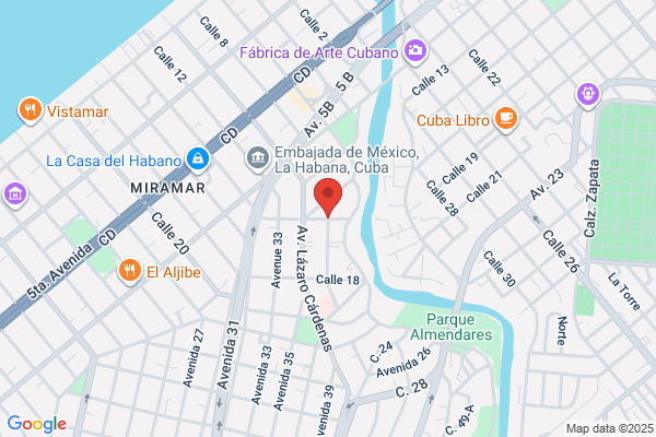 Havana Vintage Car tour
