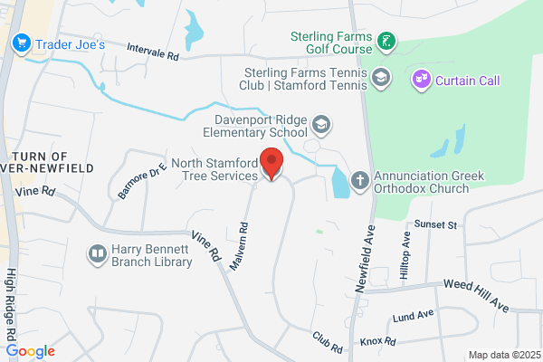 North Stamford Tree Service