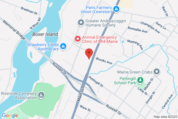 Comeau & Sons Inc