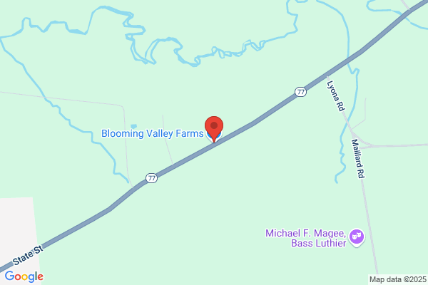 Blooming Valley Auto Sales