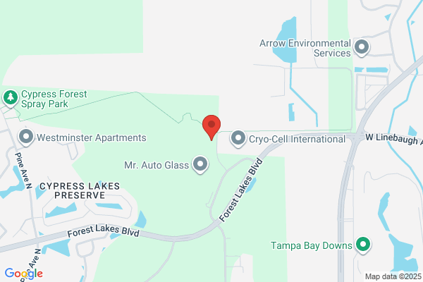 Carol C. Moya & Associates, Inc.