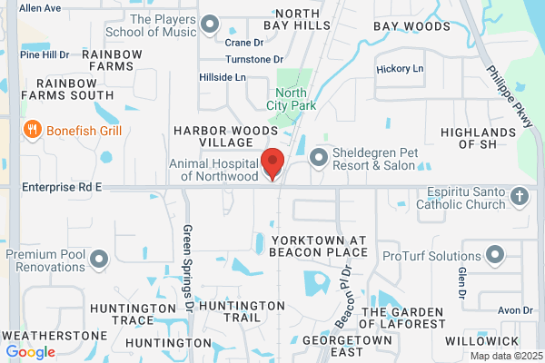 Animal Hospital of Northwood