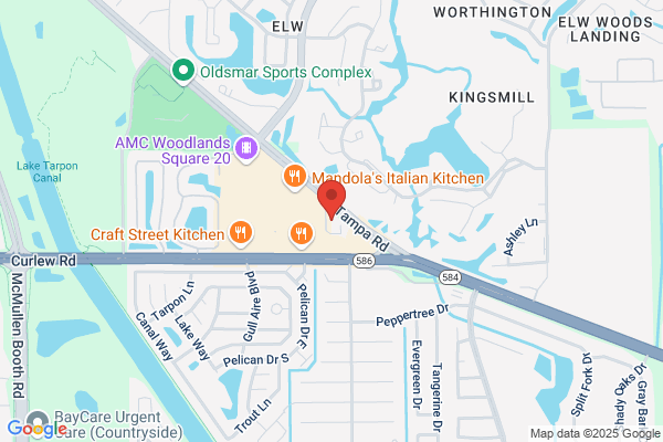 Oldsmar Automotive