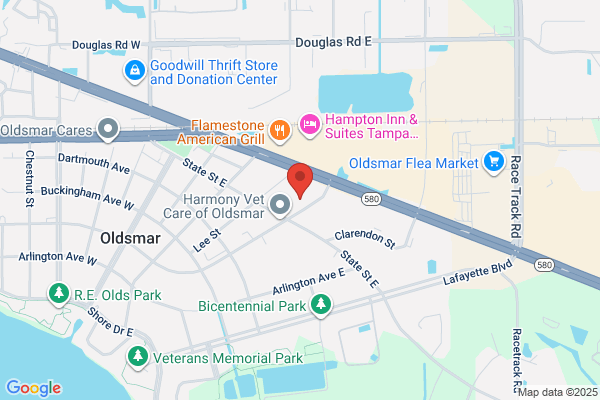 Holiday Inn Express & Suites Tampa Northwest-Oldsmar, an IHG Hotel