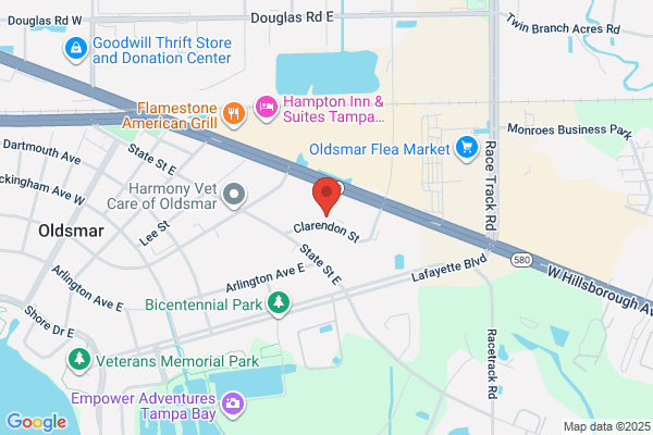 Hilton Garden Inn Tampa Northwest/Oldsmar