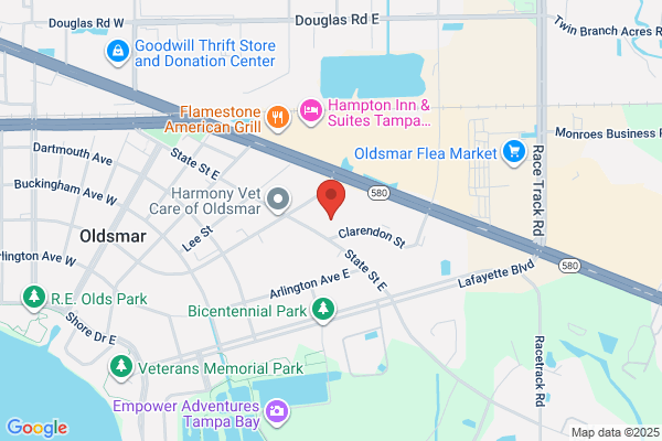Courtyard by Marriott Tampa Oldsmar