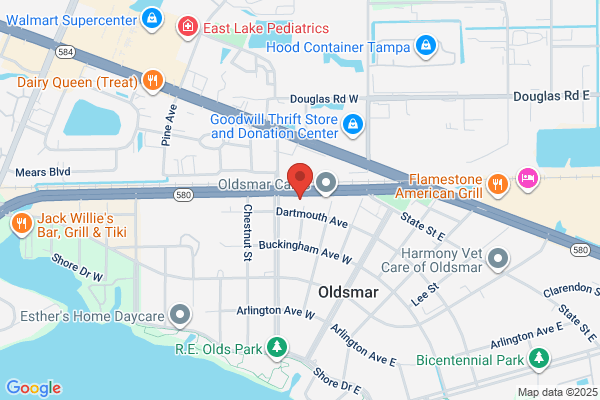 The Carli Group Oldsmar