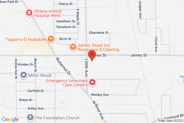 Anderson Thomas E DDS Inc