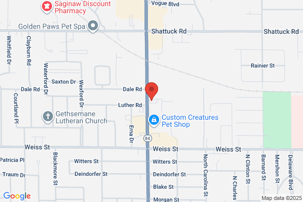 Maaco Collision Repair & Auto Painting