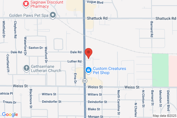 Carquest Auto Parts
