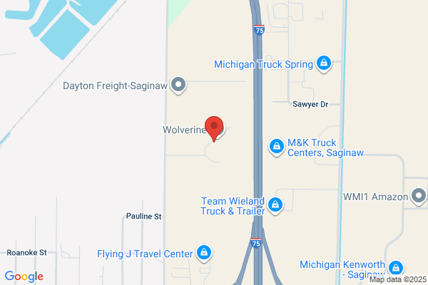 Wolverine Human Services