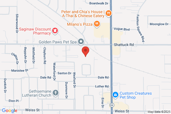 Shattuck Self Storage