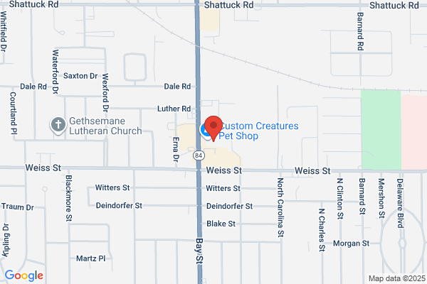 Scott Tire Sales Inc