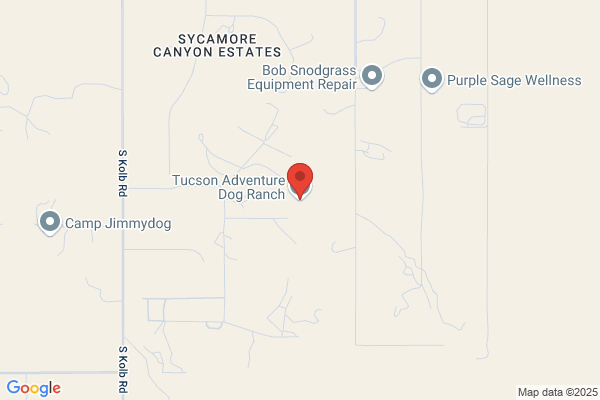 Tucson Adventure Dog Ranch