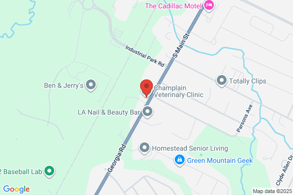 Champlain Veterinary Clinic - William Gunther DVM