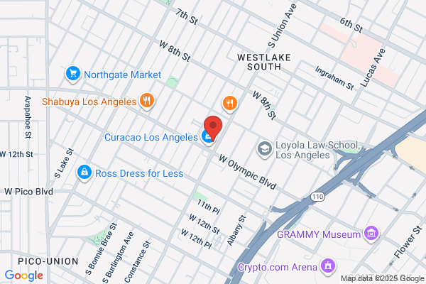 Law Offices of Nelson A Castillo