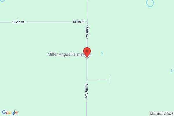 Miller Angus Ranch