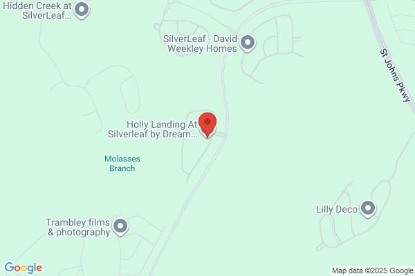 Holly Landing At Silverleaf by Dream Finders Homes