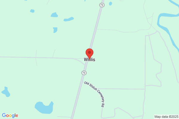 Willis & Co