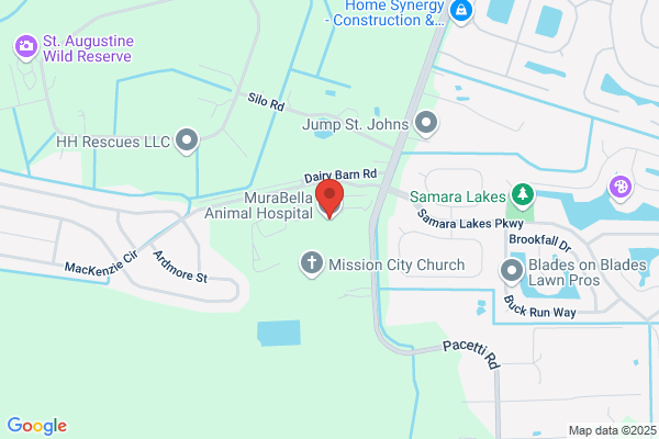 MuraBella Animal Hospital