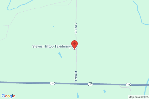 Steve's Hilltop Taxidermy