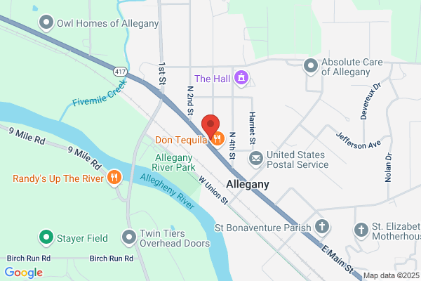 Allegany Village of, Public Library