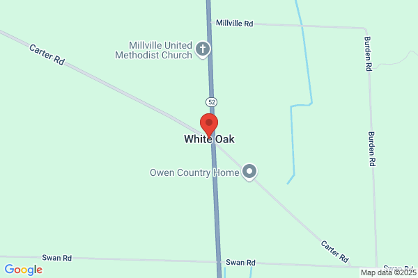 White Oak