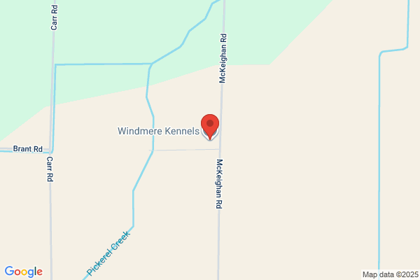 Windmere Kennels