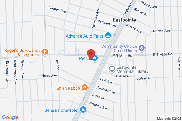 Khalil Family Chiropractic