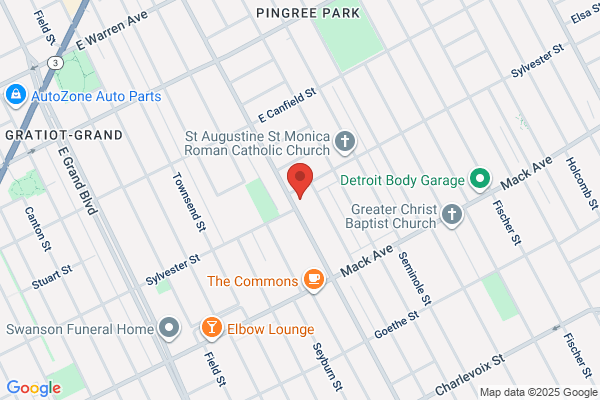 Detroit Electrical & Plumbing
