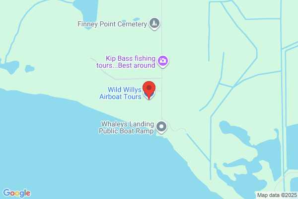 Wild Willy's Airboat Tours
