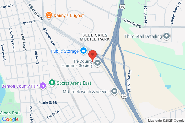 Andrew S Wilcox DDS