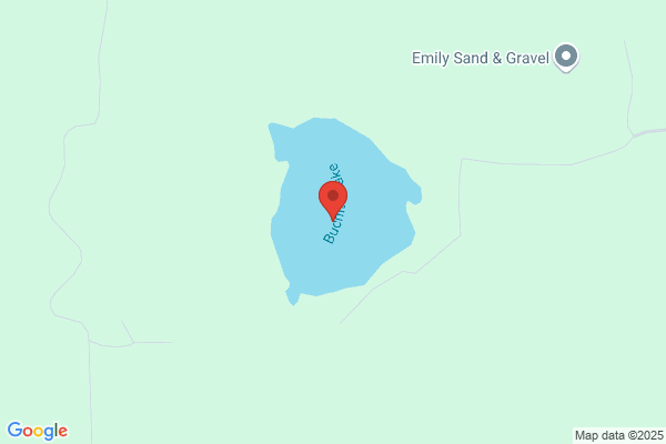 Buchite & Associates