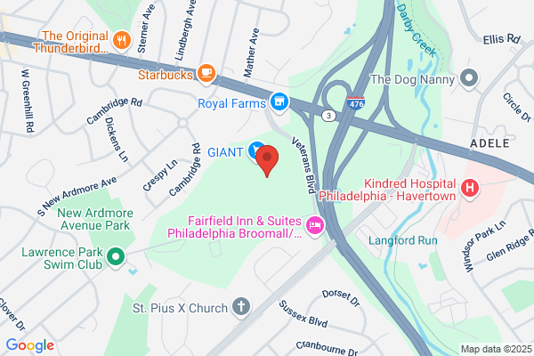 British Swim School of Glen Mills Media