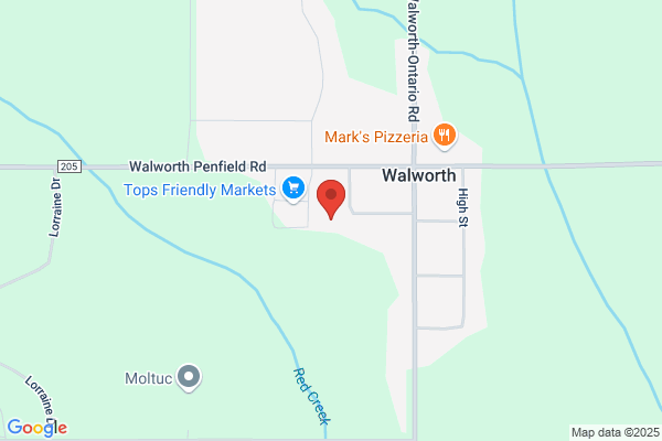 Ambulance, Wayne