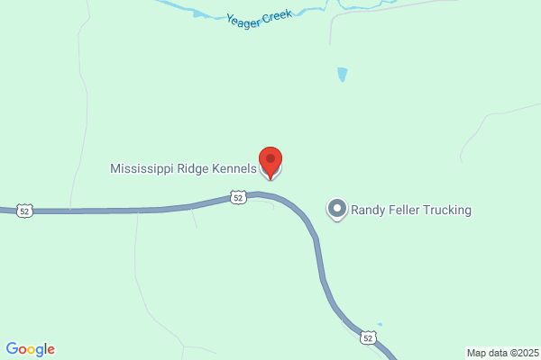 Mississippi Ridge Boarding Kennels