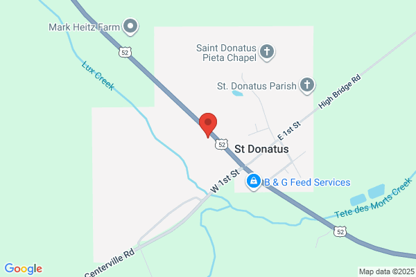 St. Donatus Body and Paint