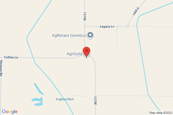 Agrigold Hybrids