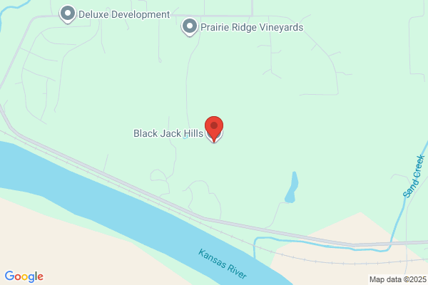 Black Jack Hills