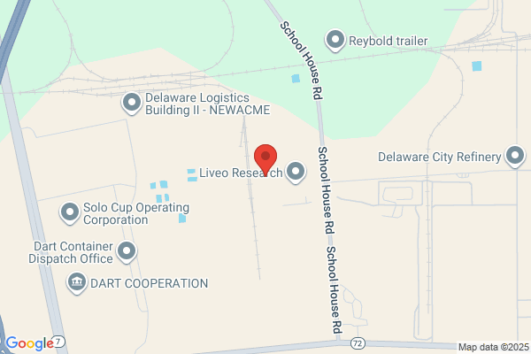Formosa Plastics Corporation Delaware