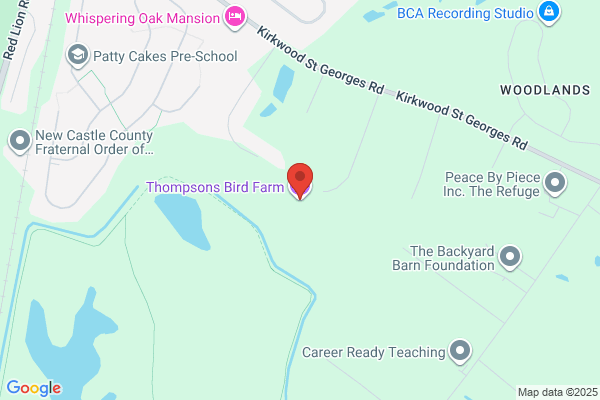 Thompson's Bird Farm