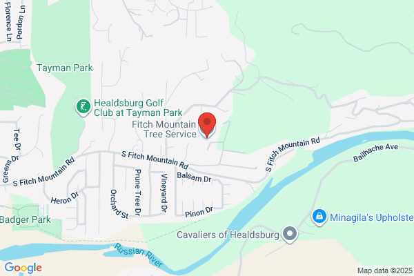White Mountain Tree Care
