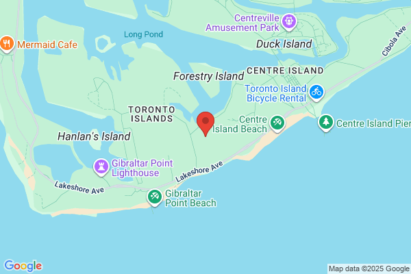 Island Public Affairs
